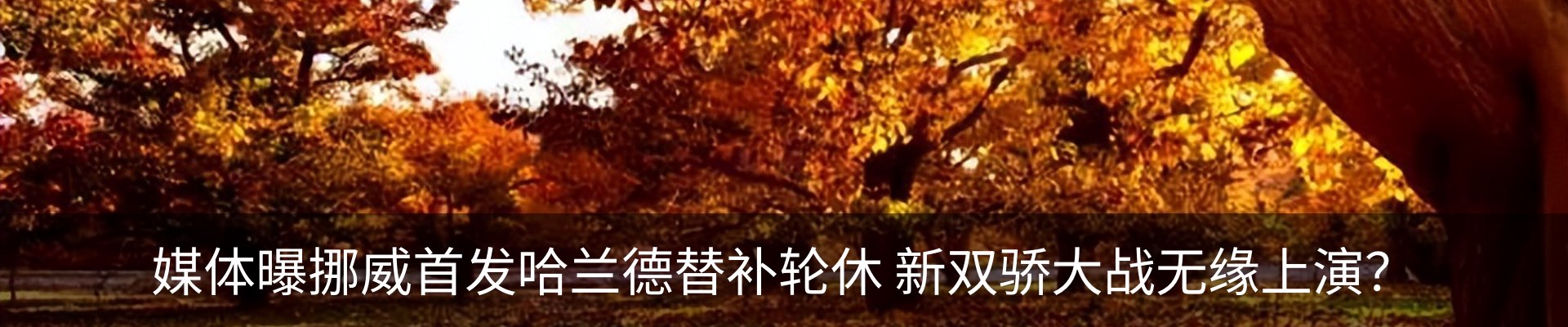 内页banner